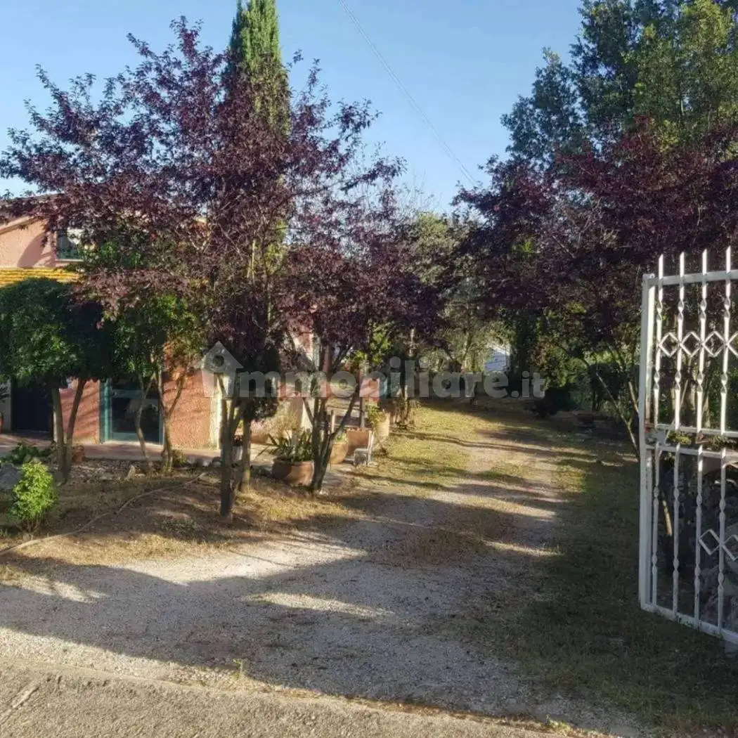 Casale Località Vallerota, Bassano in Teverina - foto 5