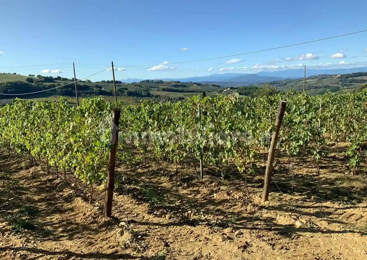Rustico - Casale in vendita a Montespertoli