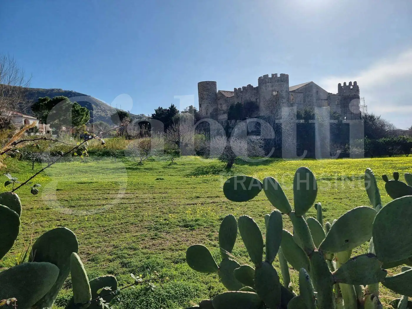 Appartamento in vendita a Sangineto