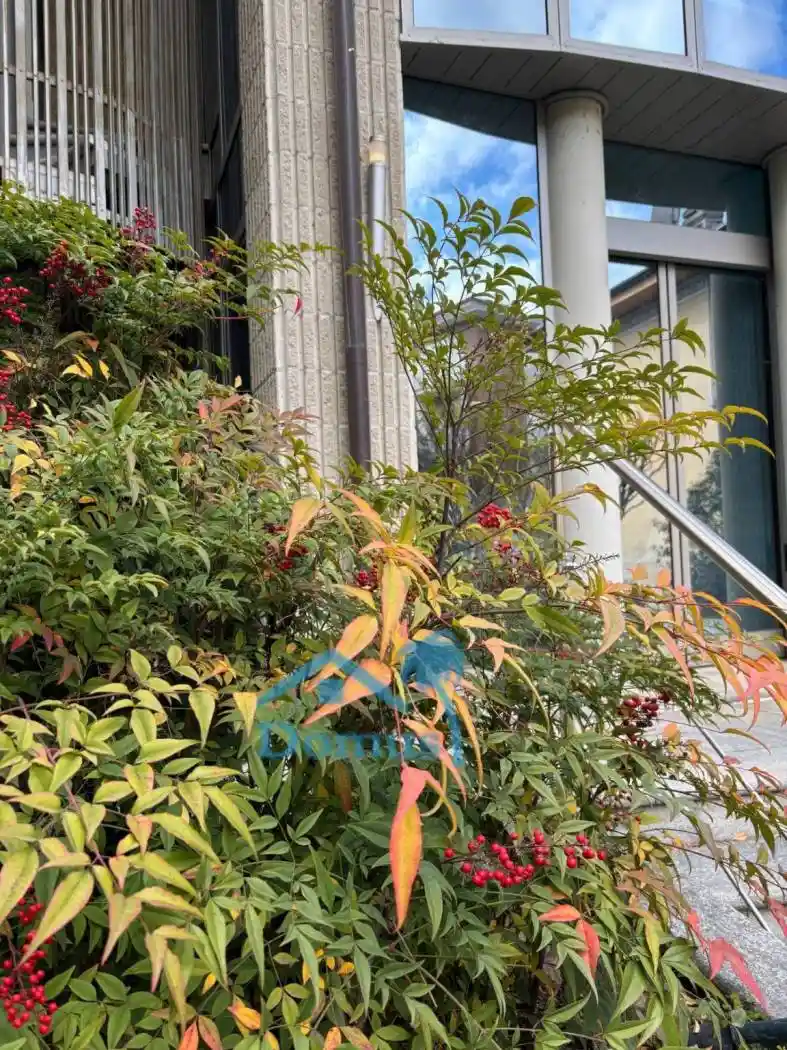 Villa in vendita a Pinerolo