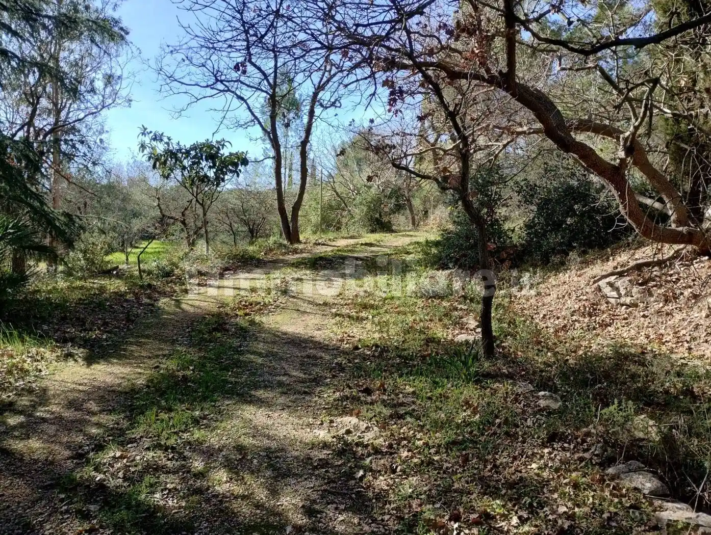 Villa in vendita a Cassano delle Murge