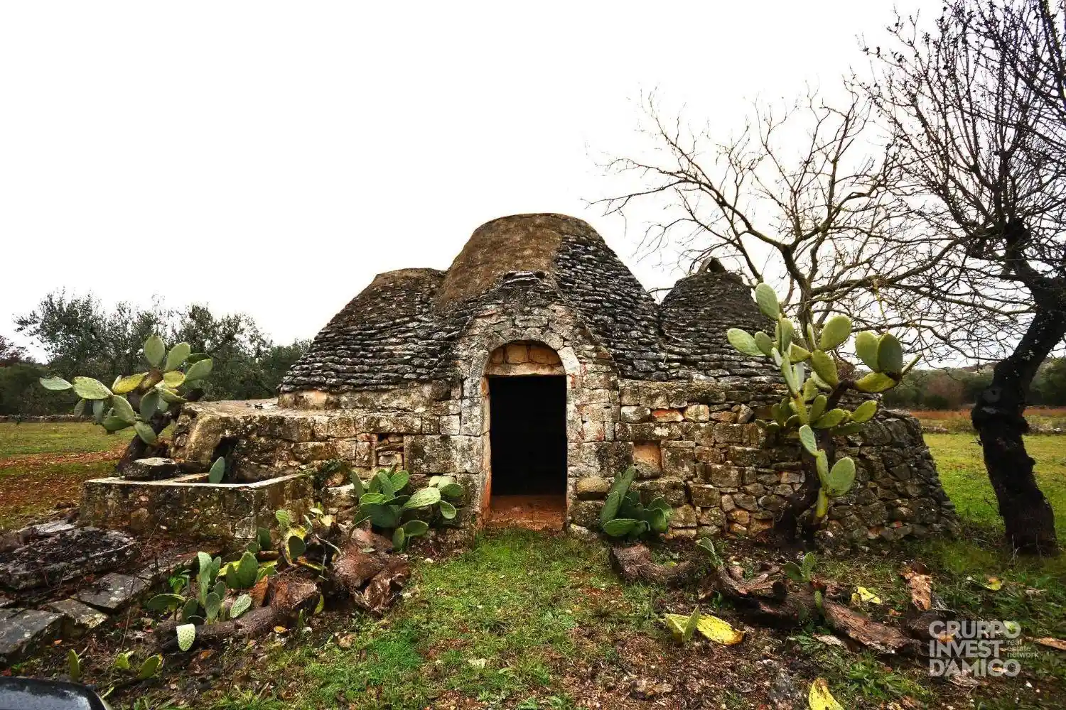 Rustico - Casale in vendita a Ceglie Messapica