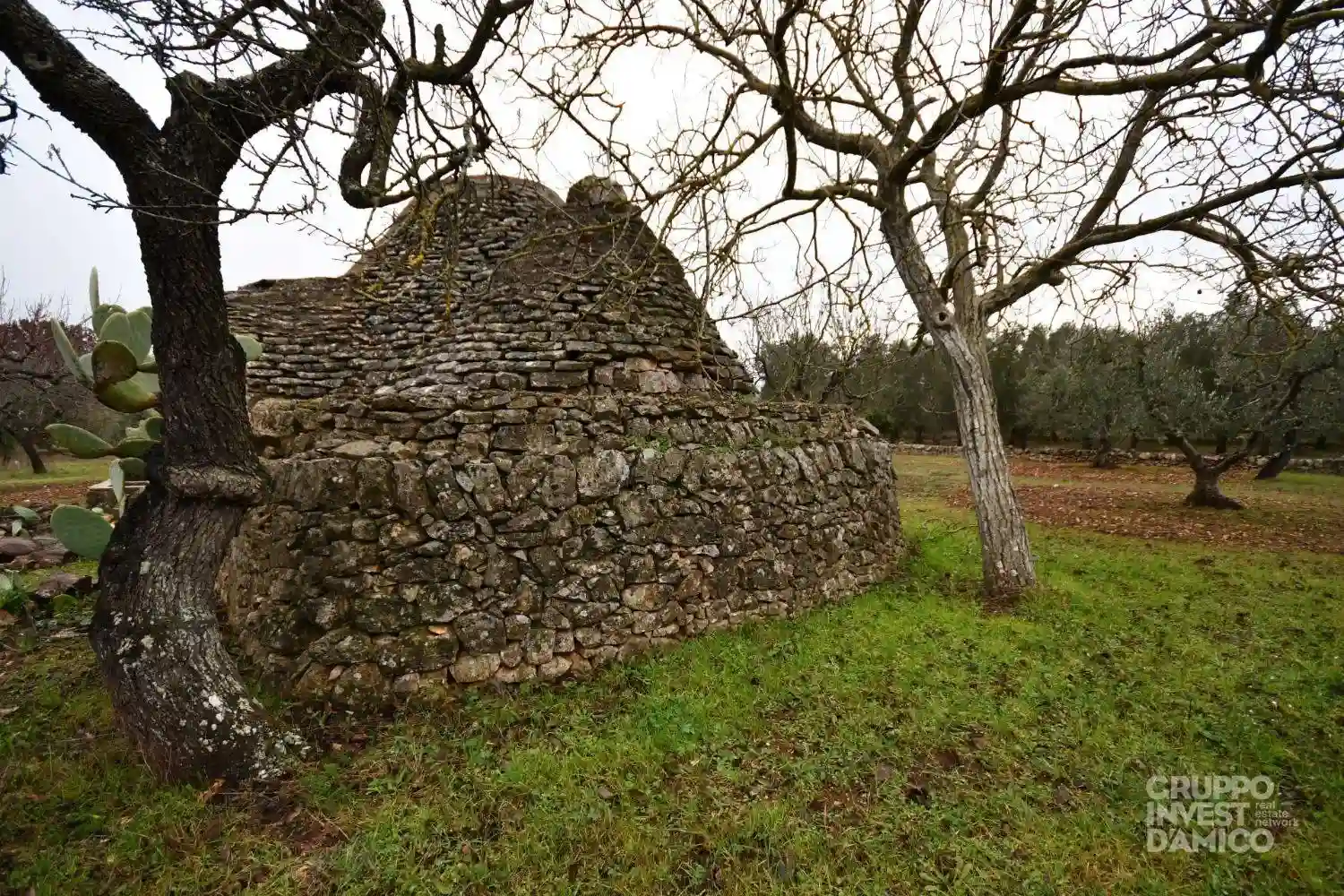 Rustico - Casale - foto 2