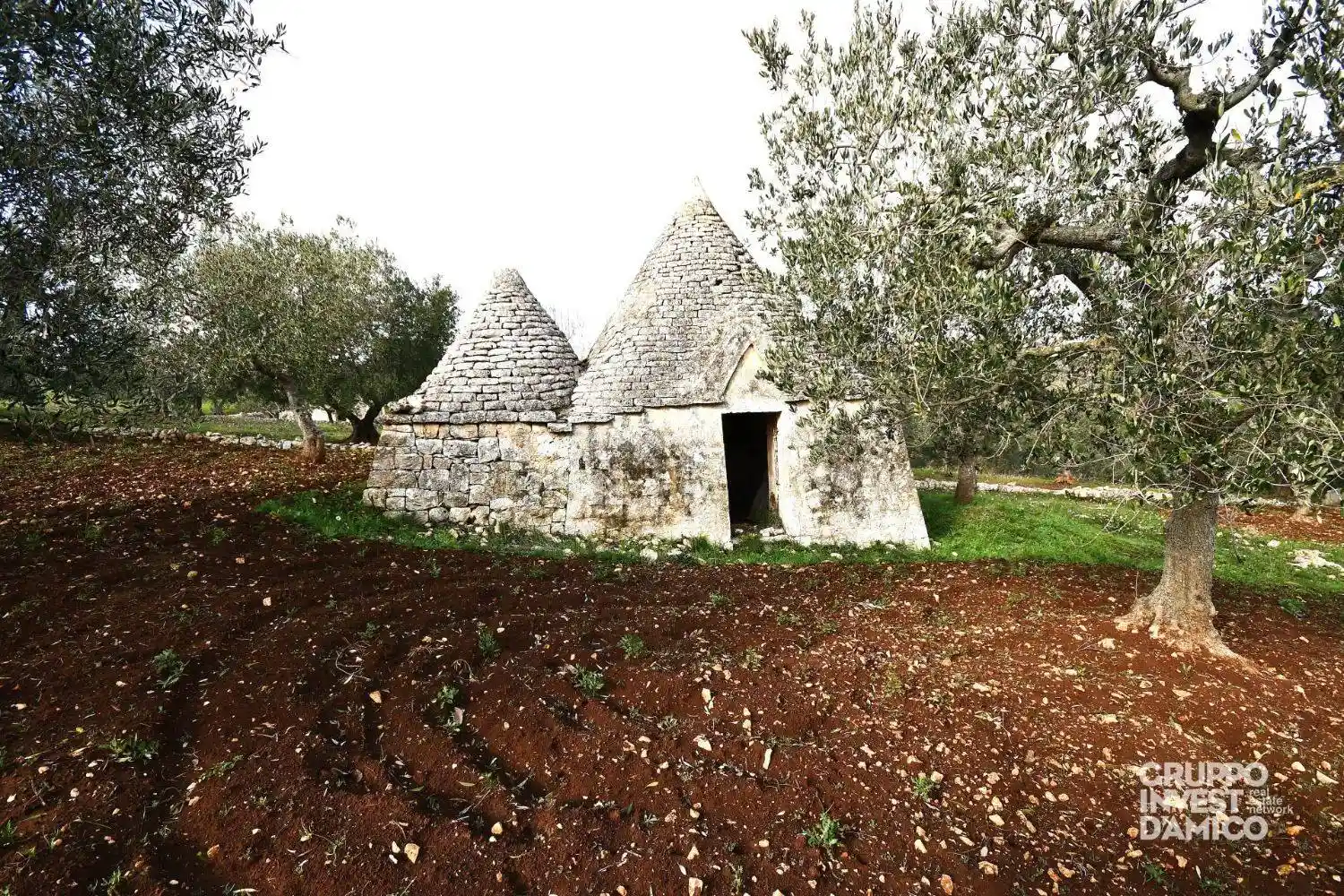 Rustico - Casale in vendita a Cisternino