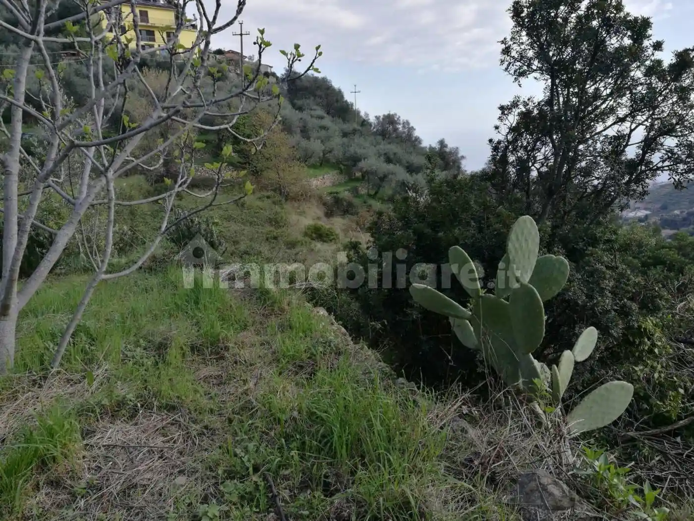 Rustico, da ristrutturare, 88 m², Verezzo, Sanremo - foto 5