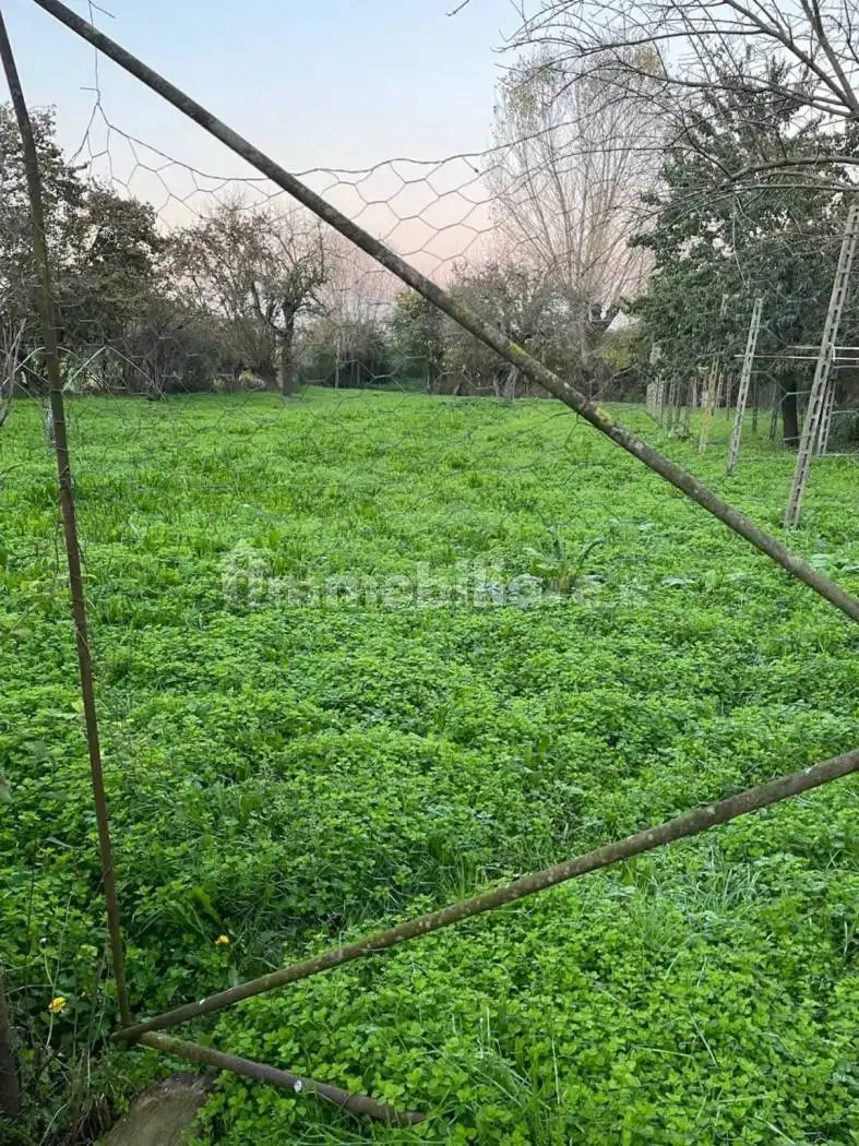 Terratetto unifamiliare via Padre Massimiliano Maria Kolbe, Commessaggio - foto 4