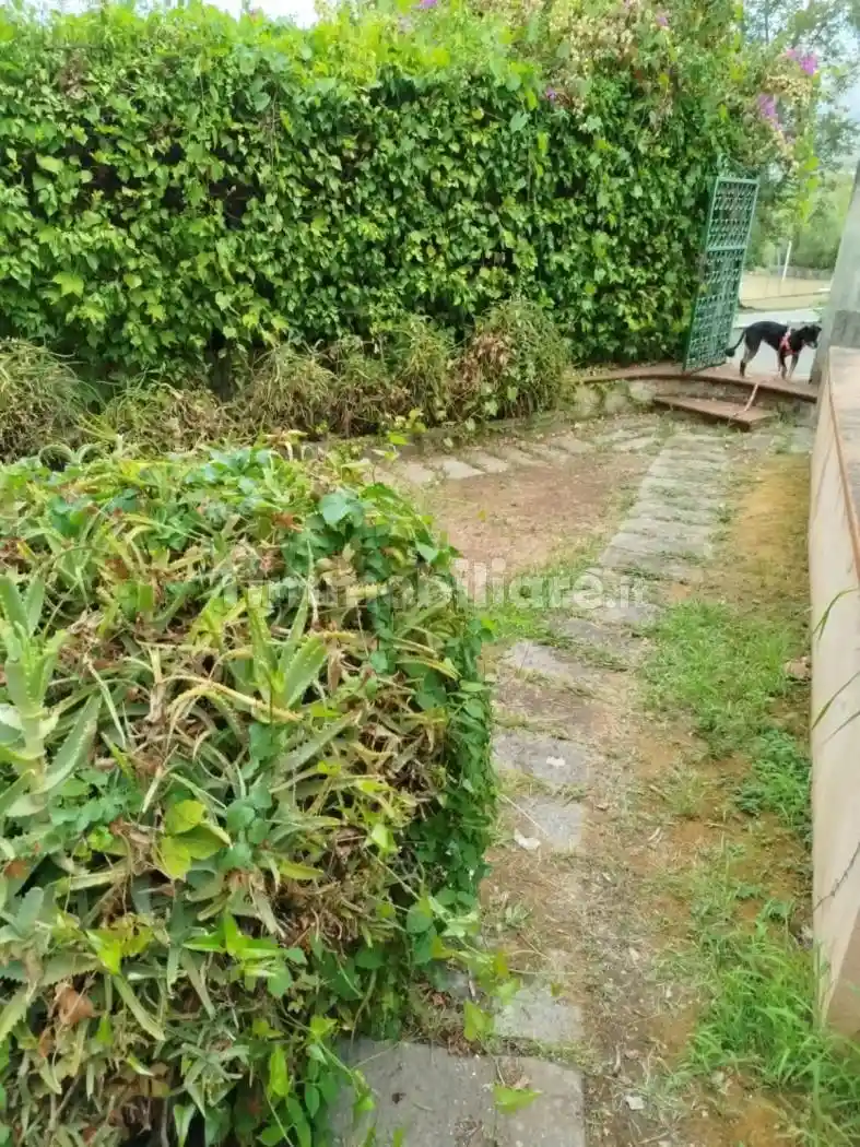 Villa a schiera via Pezzotti 29, Baia del Carpino, Petrosa, Piano Grande, Scalea - foto 3