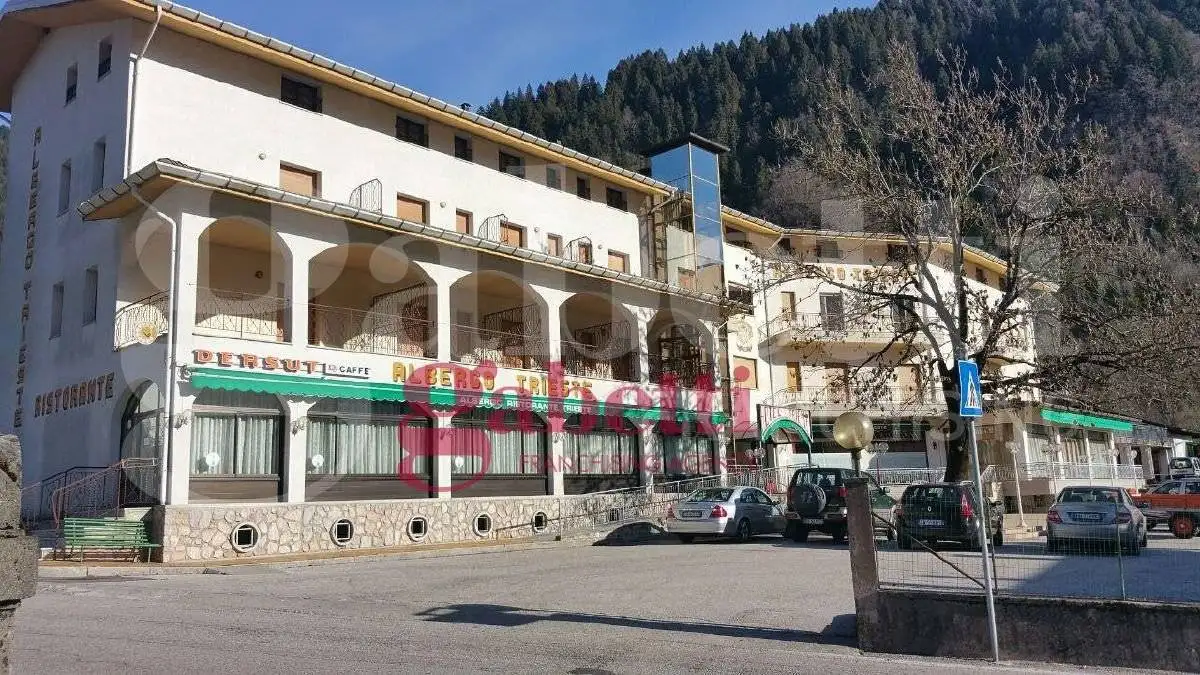 Palazzo - Edificio in vendita a Arta Terme
