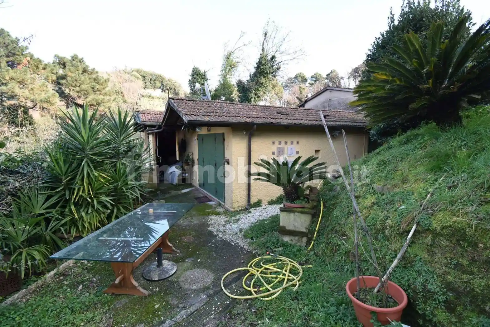 Villa in vendita a Pietrasanta