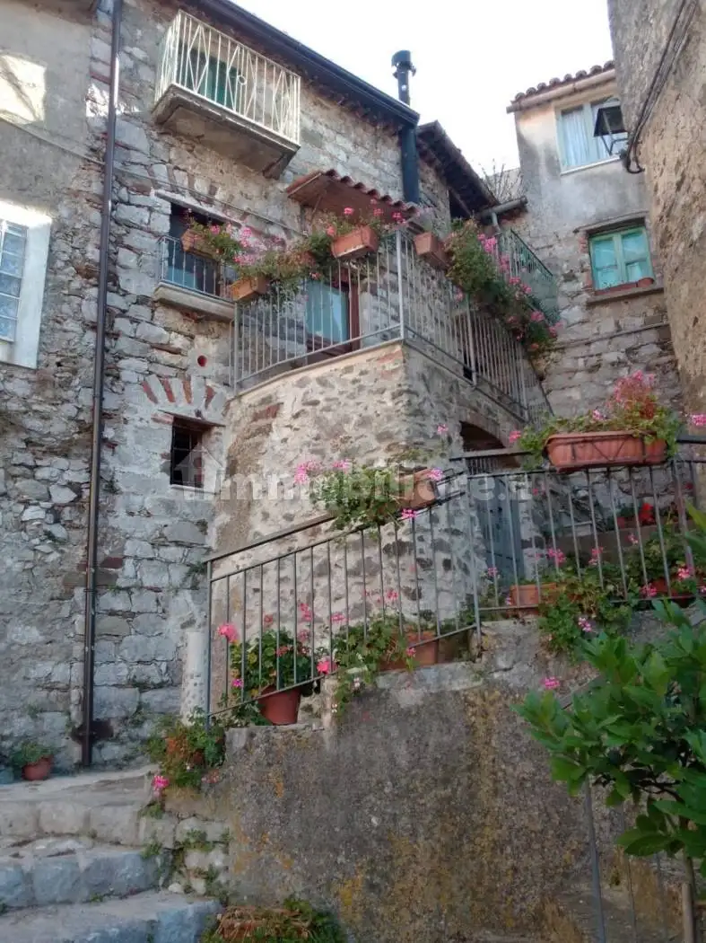 Appartamento via Castello 3, Caselle in Pittari