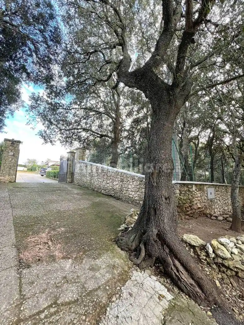 Villa unifamiliare via del Ginepro, Filigheddu, Sassari - foto 4