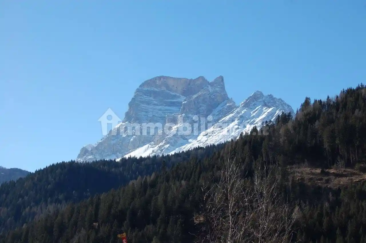 Appartamento in vendita a San Vito di Cadore