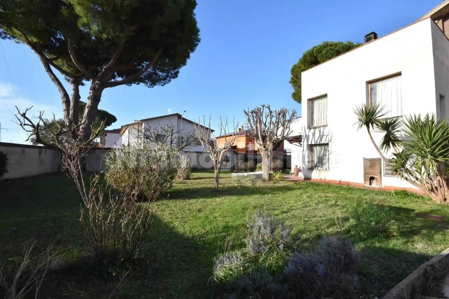 Villa in vendita a Monte San Vito