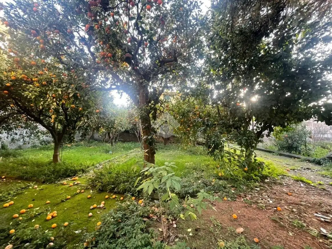 Villa in vendita a Lauro