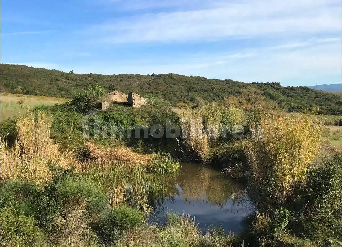 Rustico - Casale in vendita a Rosignano Marittimo