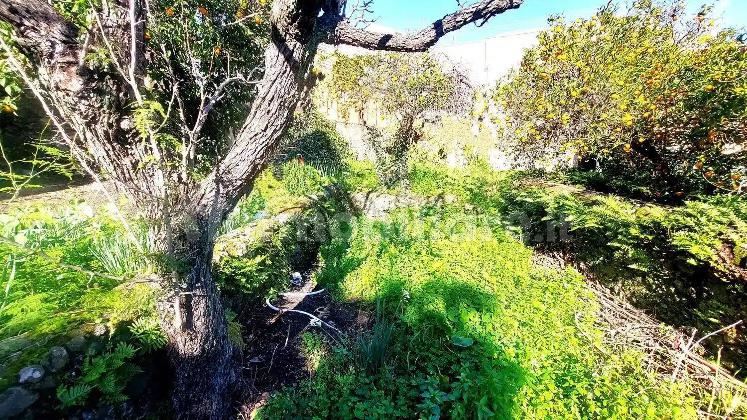 Villa in vendita a Giarre