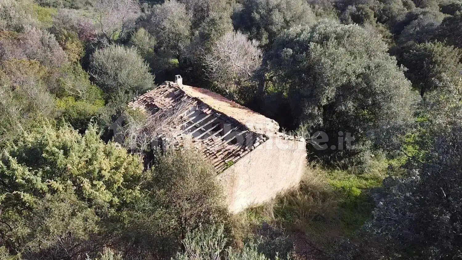 Rustico - Casale in vendita a Padru