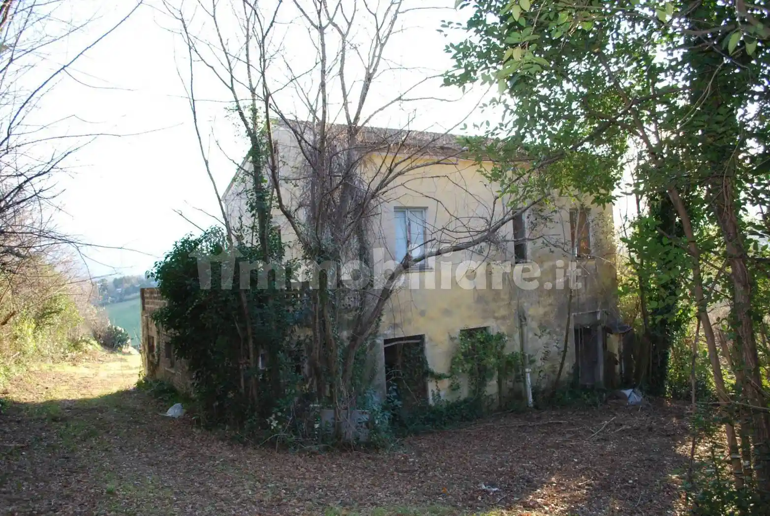 Rustico - Casale in vendita a Montegranaro