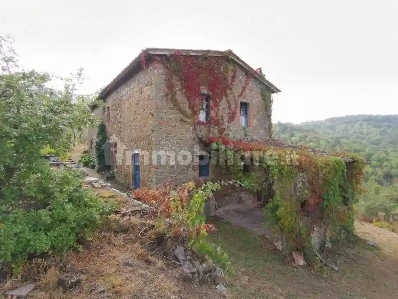 Rustico - Casale in vendita a Bucine