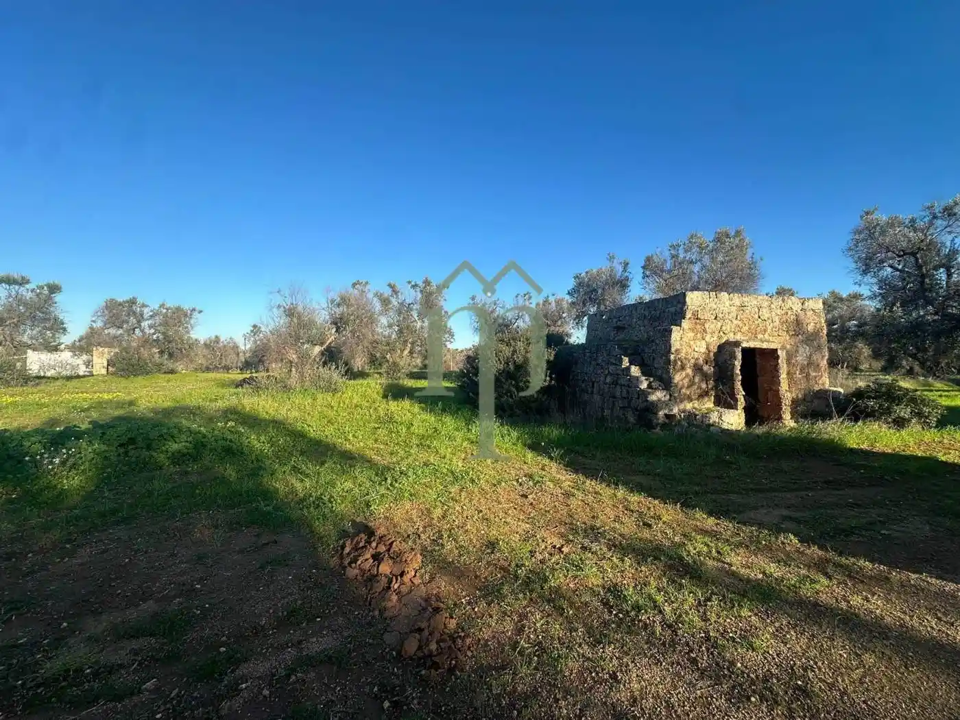 Rustico - Casale in vendita a Carovigno