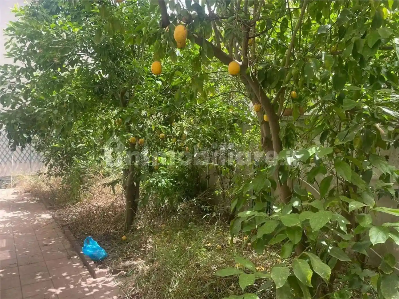 Villa in vendita a San Gavino Monreale