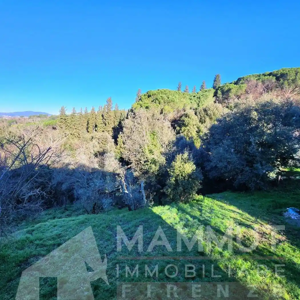 Casa indipendente in affitto a Scandicci