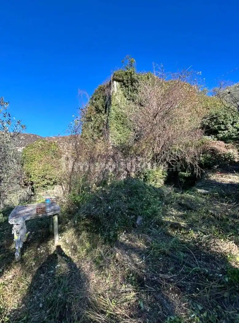 Rustico - Casale in vendita a Avegno