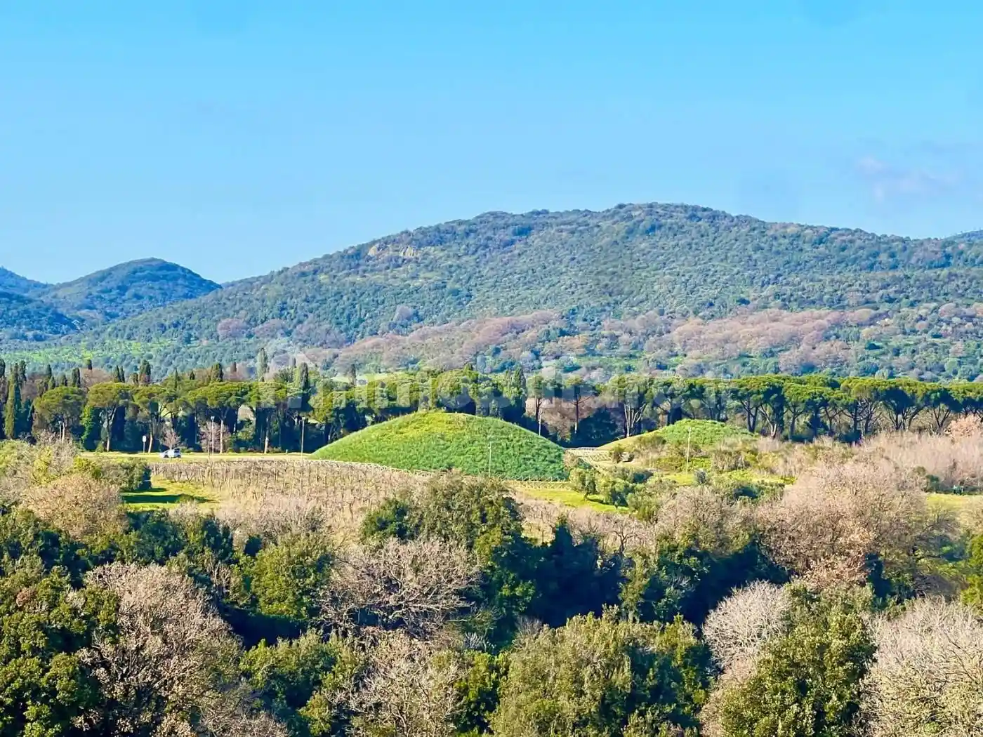 Attico - Mansarda in vendita a Cerveteri