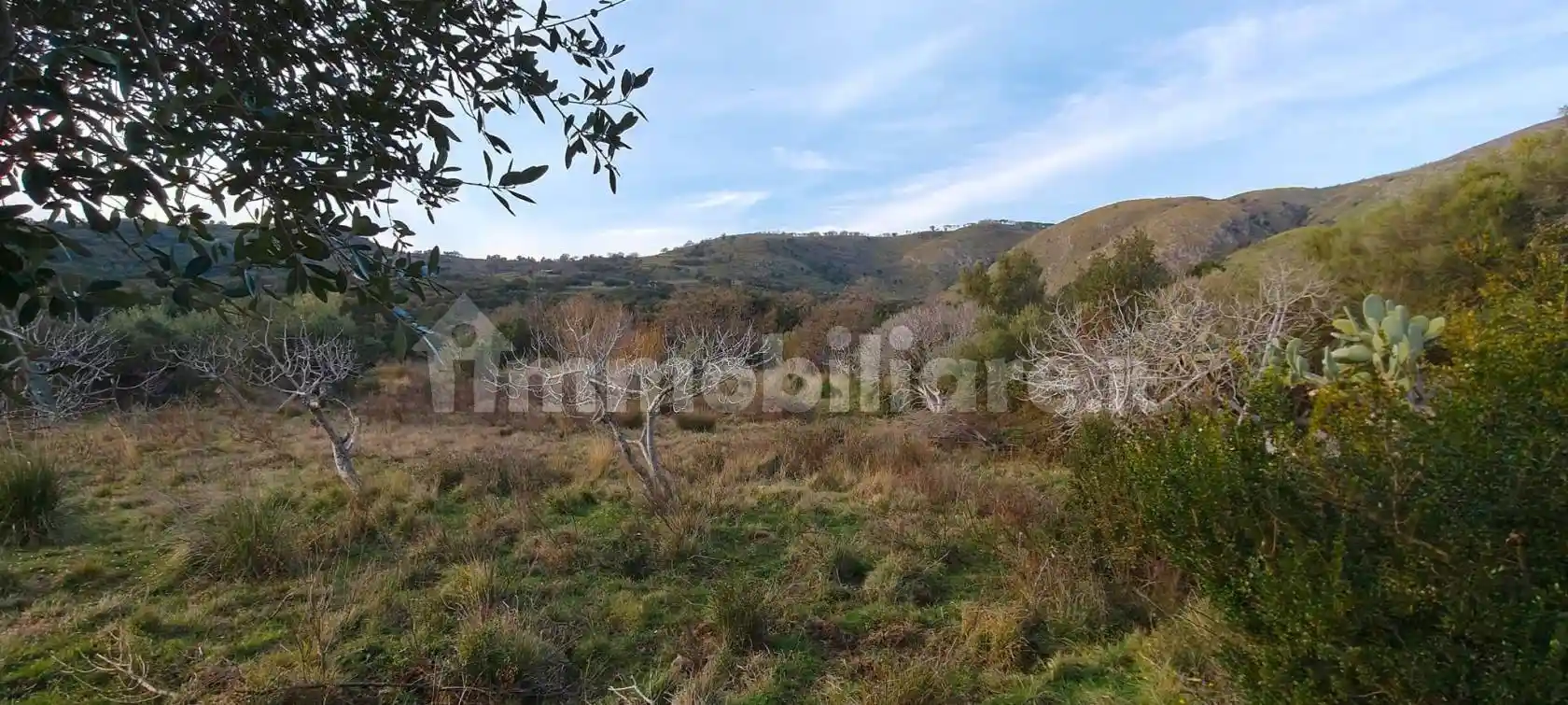 Villa unifamiliare Contrada Sant'Angelo 1, Santa Domenica Talao - foto 2
