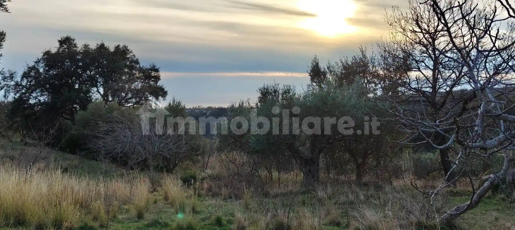 Villa unifamiliare Contrada Sant'Angelo 1, Santa Domenica Talao - foto 4