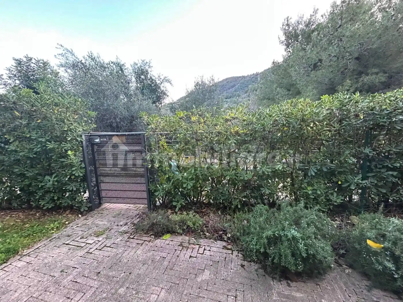 Appartamento in affitto a Alassio