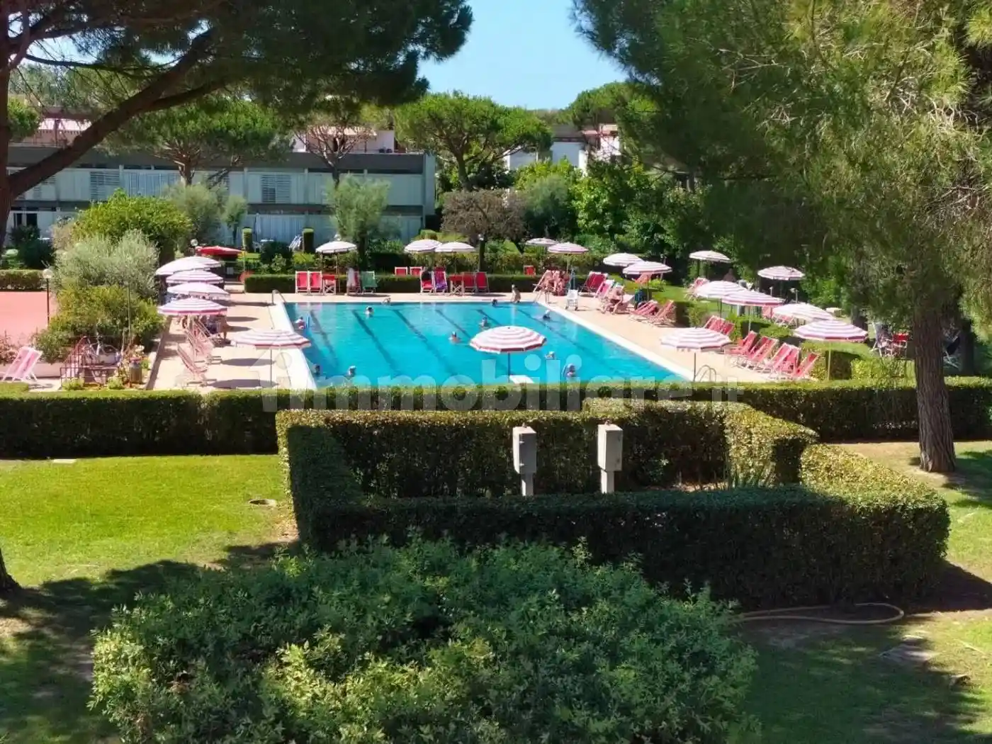 Appartamento in vendita a Bibbona