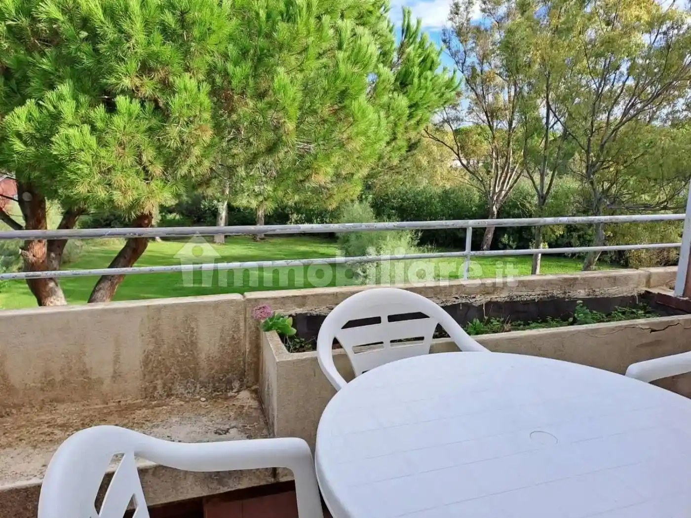 Appartamento in vendita a Bibbona