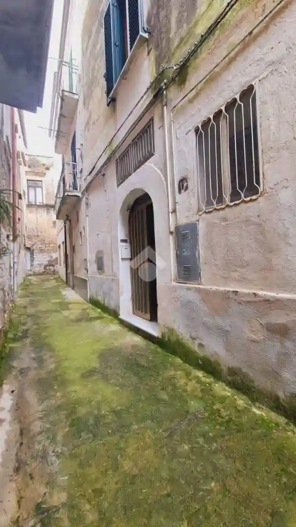 Palazzo - Edificio - foto 2