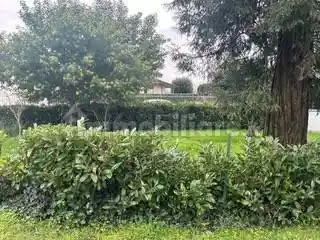 Appartamento in vendita a Agliana