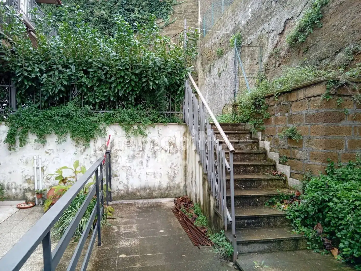 Appartamento in affitto a Canino