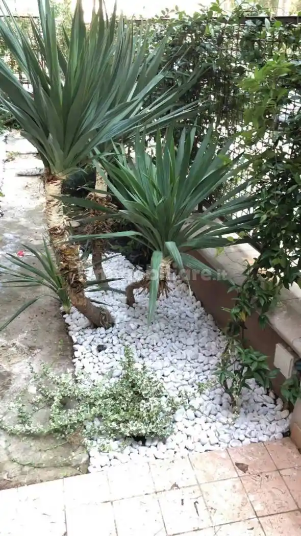 Appartamento via Madonna dell'Asilo 32, Viadotto Istonia, Corso G. Garibaldi, V. San Michele, Vasto - foto 5