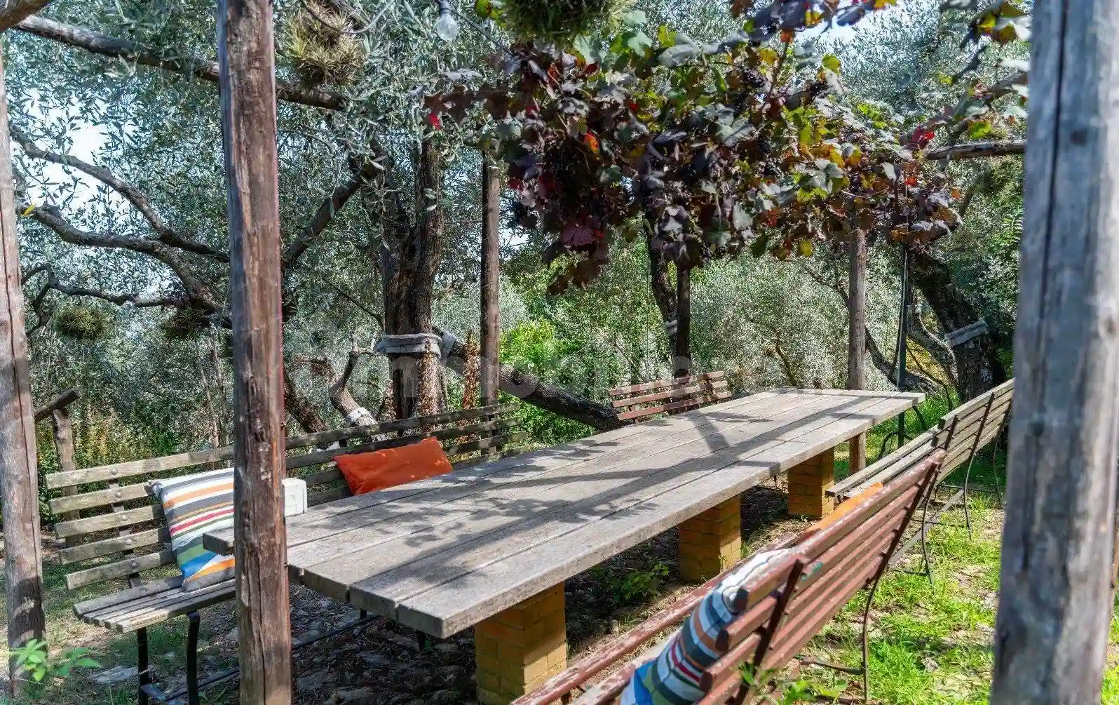 Rustico - Casale - foto 5