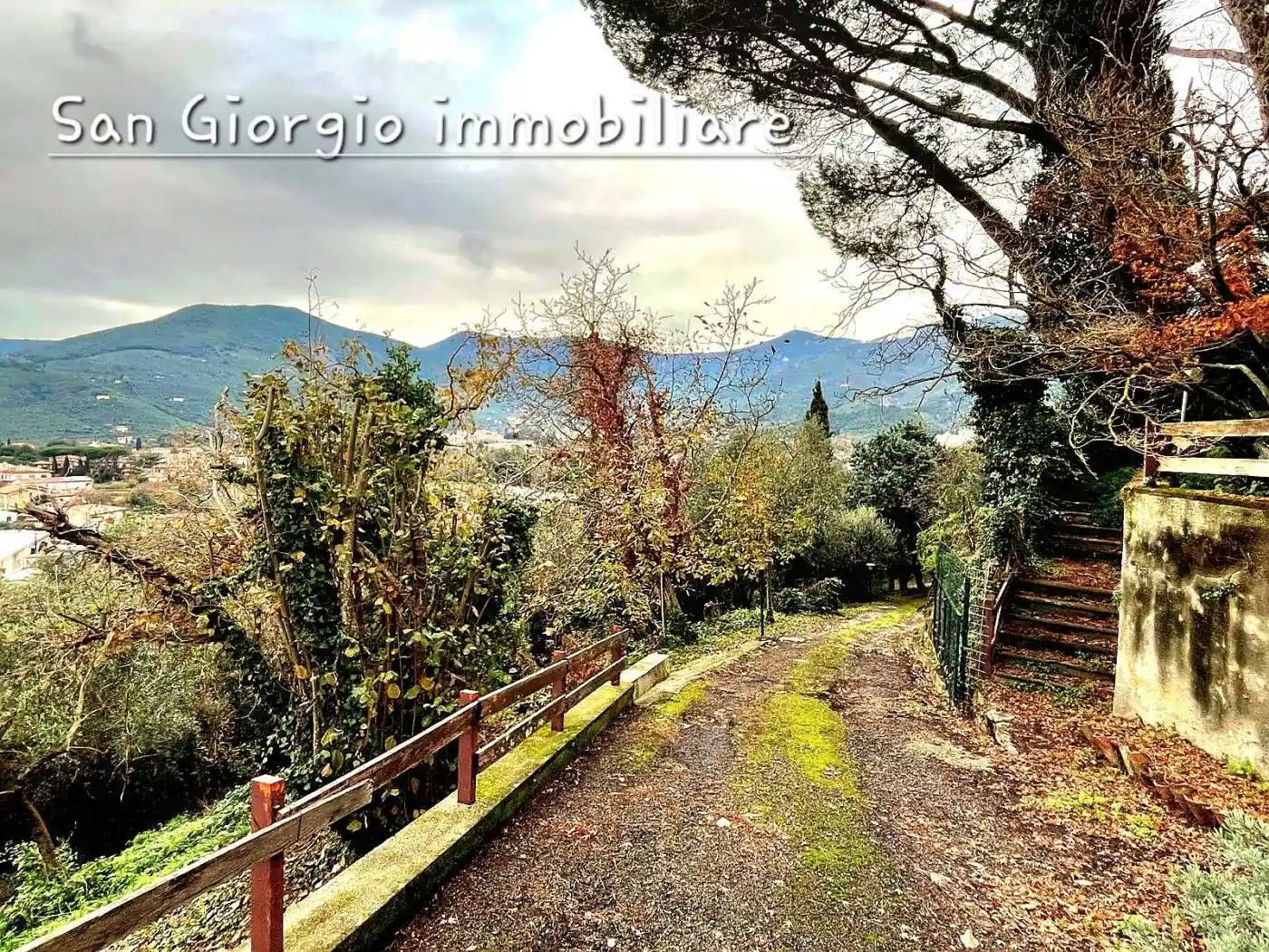 Rustico - Casale in vendita a Calci