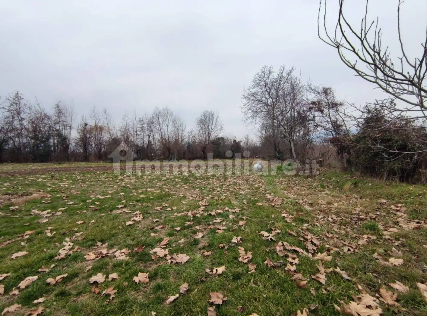 Villa in vendita a Sarcedo