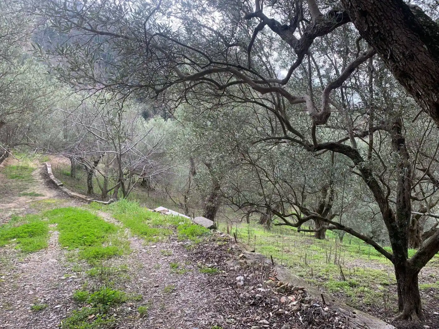 Rustico via Ferdinando Galiani, Pontegrande - Sant'Elia, Catanzaro - foto 4