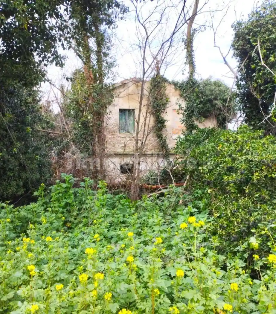 Rustico - Casale in vendita a Ostra