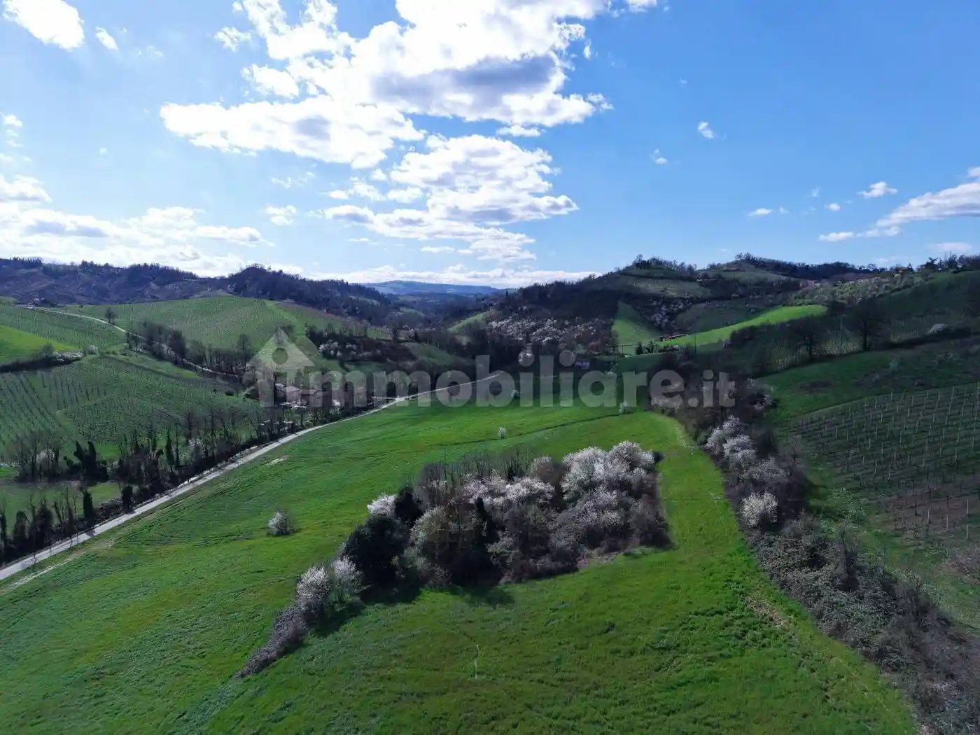 Rustico - Casale in vendita a Valsamoggia