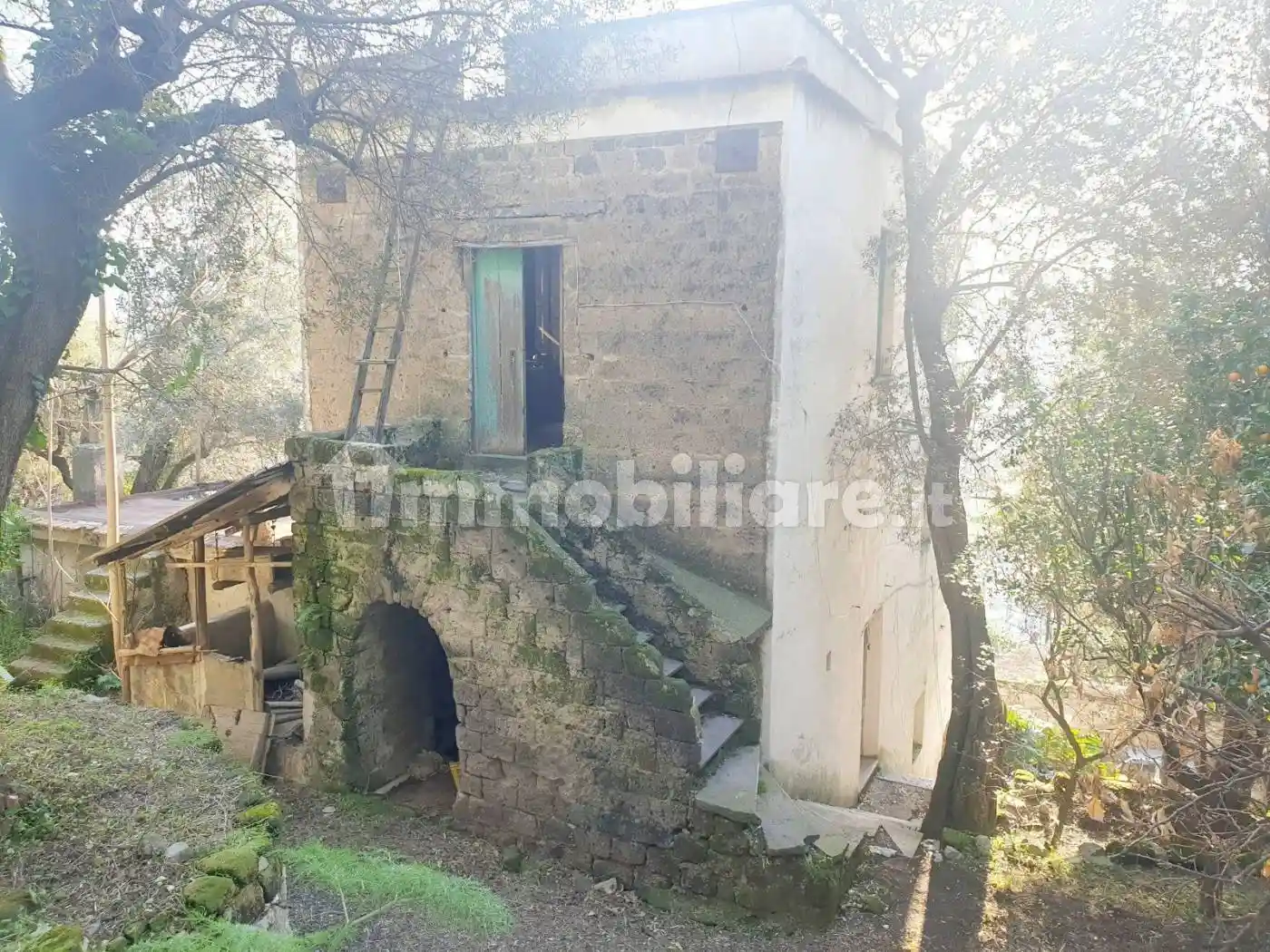 Rustico - Casale - foto 5