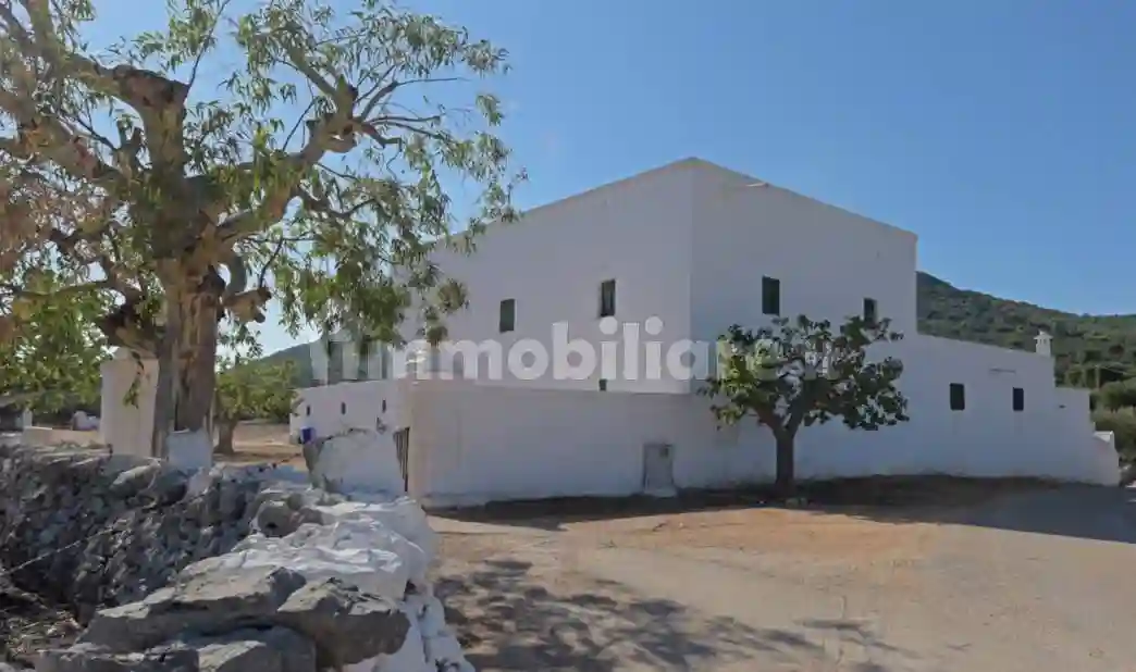 Rustico - Casale - foto 3