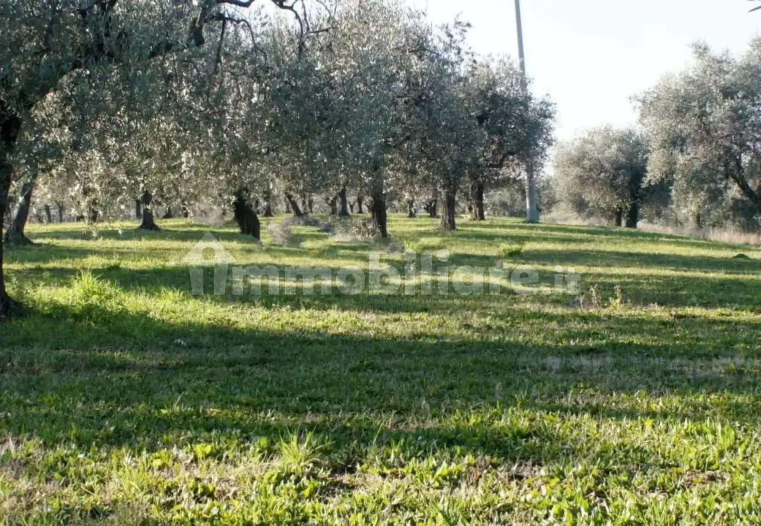 Rustico - Casale in vendita a Ortona