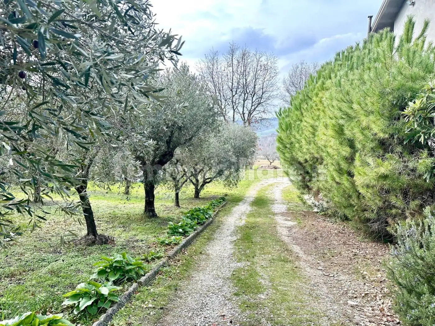 Villa in vendita a Rimini