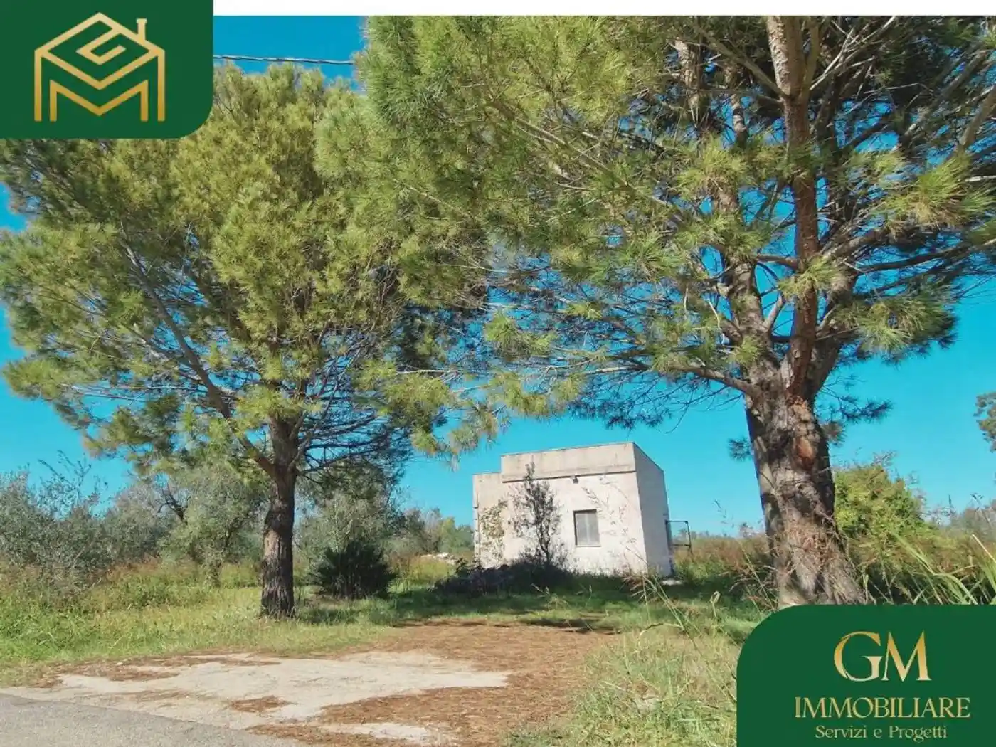 Villa in vendita a Collepasso