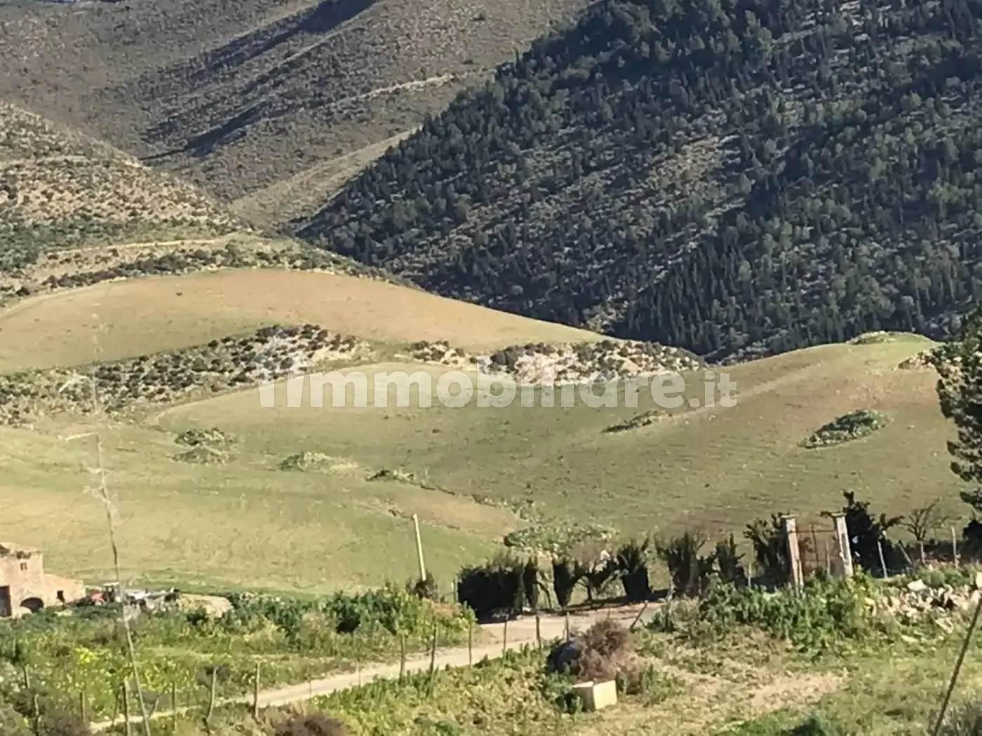Casale corso Sicilia, Catenanuova - foto 4