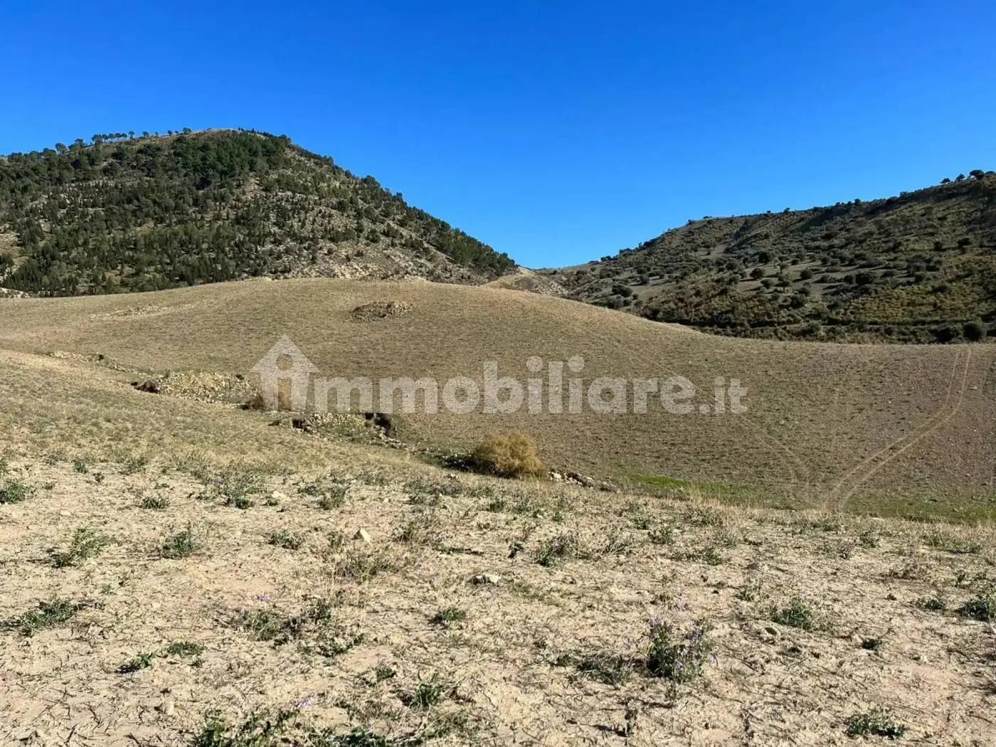 Casale corso Sicilia, Catenanuova - foto 5